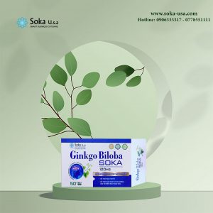 Ginkgo Soka