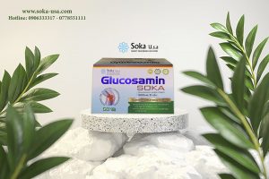 Glucosamin Soka
