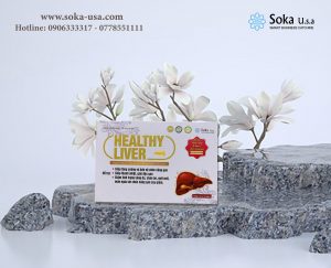 Healthy Liver